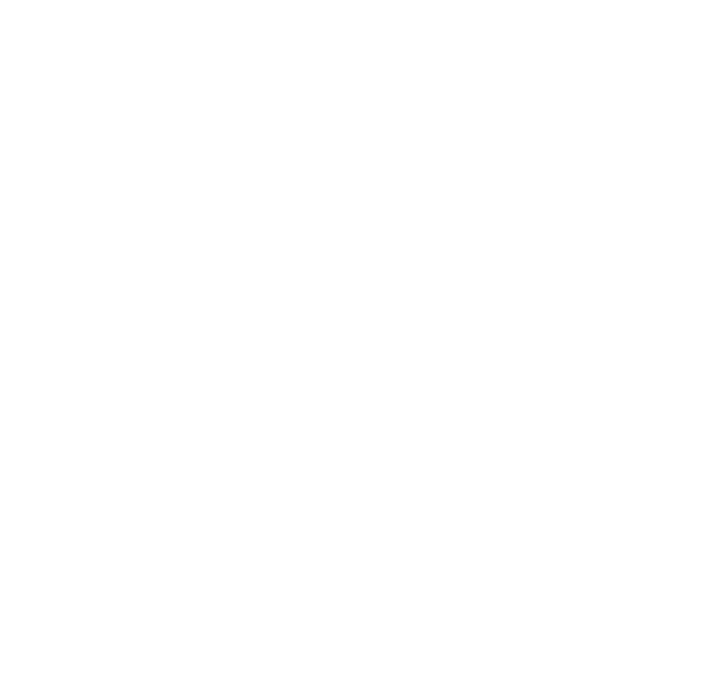 Transilvania Quantum